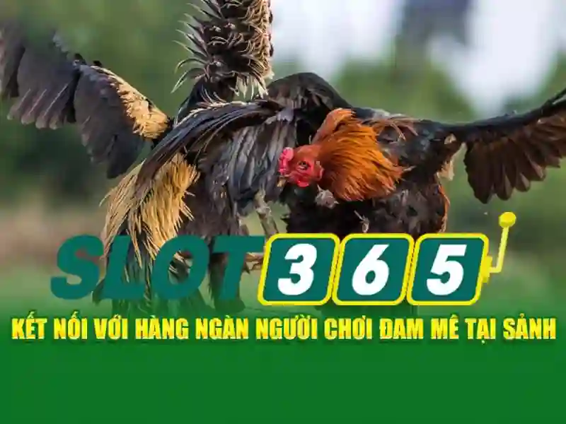 https://sitetop-group.com/images/text/slot365/slot365-text1170.webp