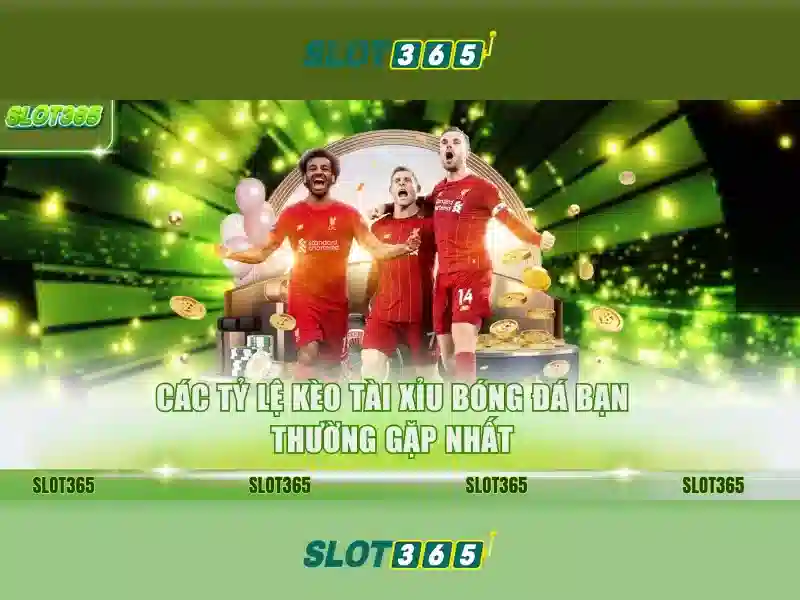 https://sitetop-group.com/images/text/slot365/slot365-text260312145.webp