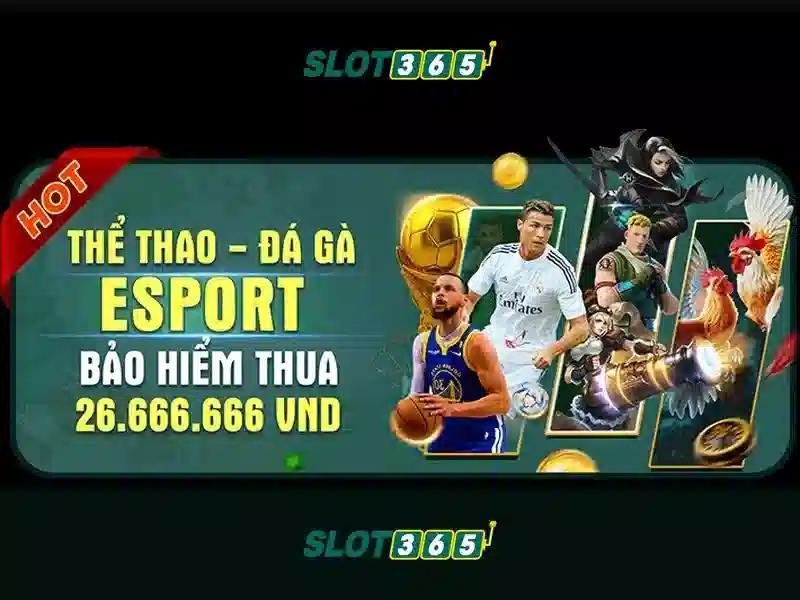 https://sitetop-group.com/images/text/slot365/slot365-text26031217.webp