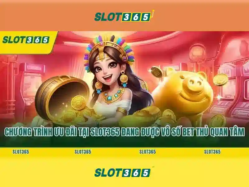 Domain_LINK