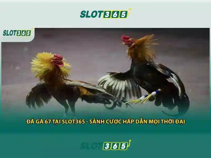 Slot365: Trải nghiệm quay số trực tuyến tuyệt vời