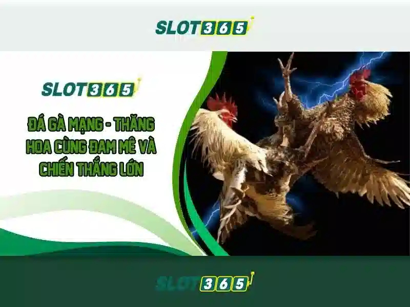 Slot365: Nền tảng slot trực tuyến và giải trí hàng đầu