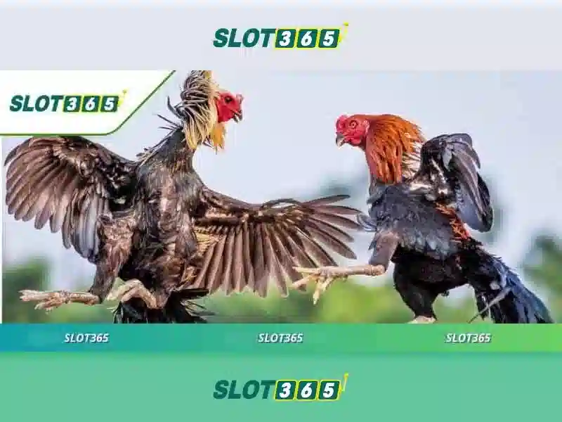 https://sitetop-group.com/images/text/slot365/slot365-text260312219.webp