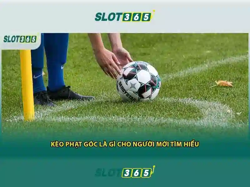 https://sitetop-group.com/images/text/slot365/slot365-text260312365.webp