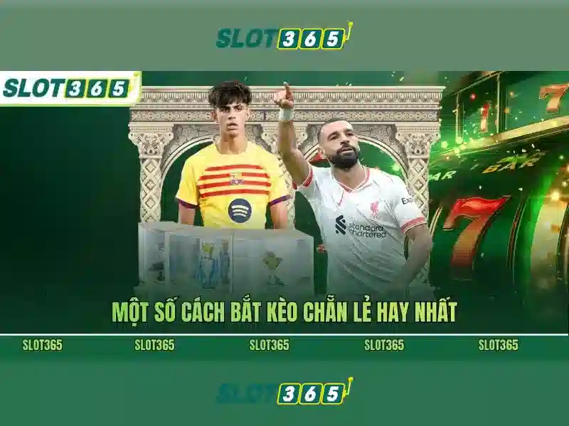 https://sitetop-group.com/images/text/slot365/slot365-text260312459.webp