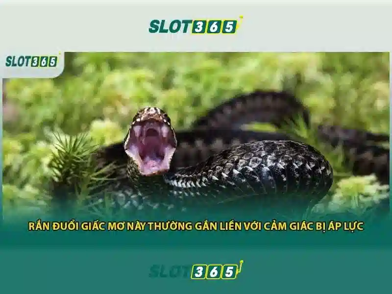 https://sitetop-group.com/images/text/slot365/slot365-text260312541.webp