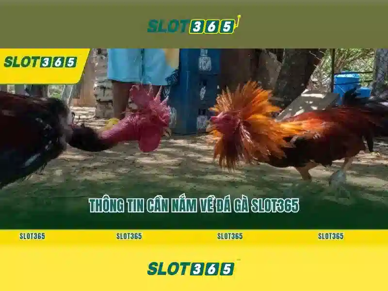 https://sitetop-group.com/images/text/slot365/slot365-text260312611.webp