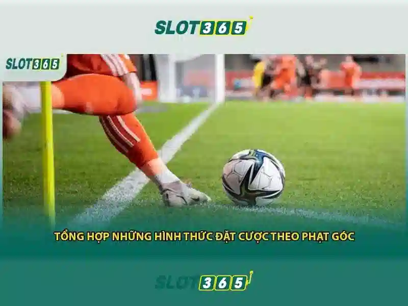 https://sitetop-group.com/images/text/slot365/slot365-text260312650.webp