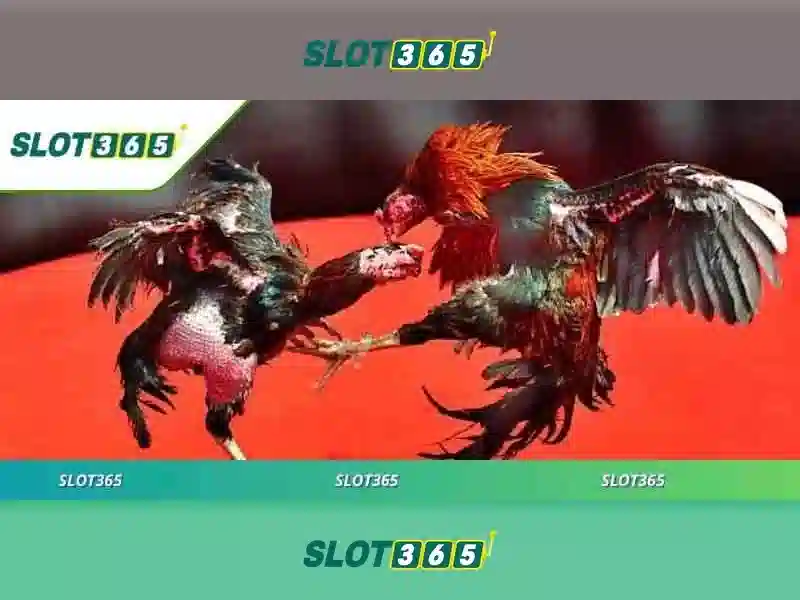 https://sitetop-group.com/images/text/slot365/slot365-text260312682.webp