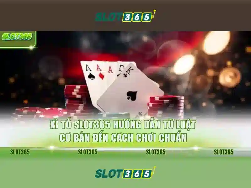 https://sitetop-group.com/images/text/slot365/slot365-text260312710.webp