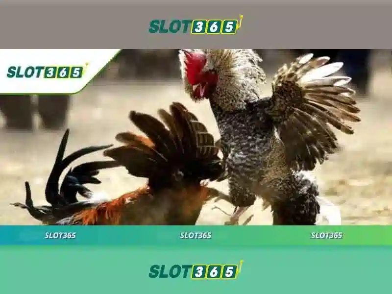 https://sitetop-group.com/images/text/slot365/slot365-text260312711.webp