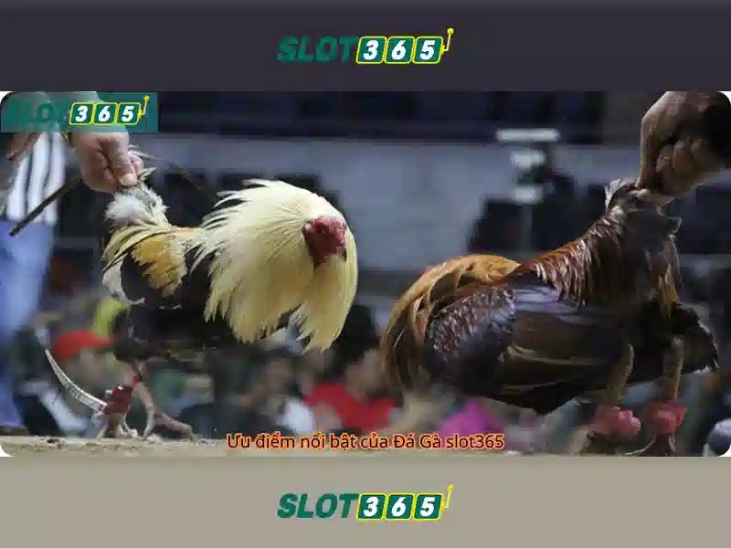 https://sitetop-group.com/images/text/slot365/slot365-text260330122.webp