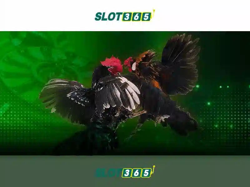 https://sitetop-group.com/images/text/slot365/slot365-text260330160.webp