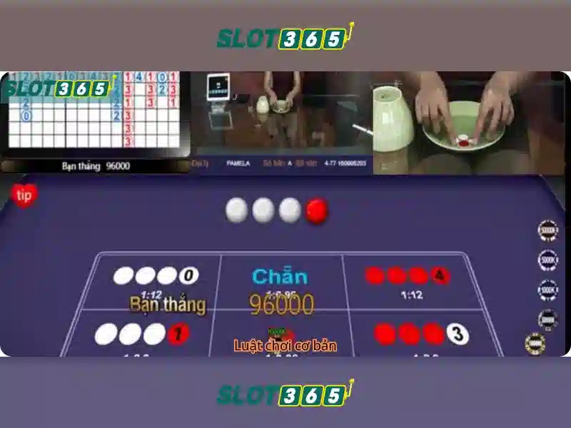 Slot365 - Trải nghiệm cá cược trực tuyến an toàn và hấp dẫn