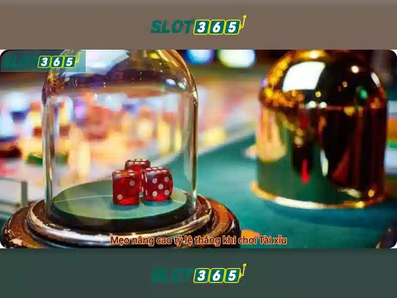 https://sitetop-group.com/images/text/slot365/slot365-text260330234.webp