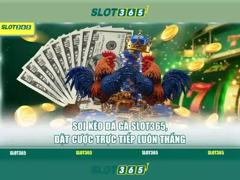 https://sitetop-group.com/images/text/slot365/slot365-text260330406.webp