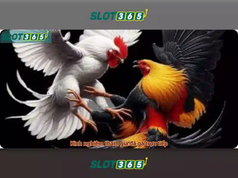 Slot365: Tổng quan, đánh giá và kinh nghiệm chơi