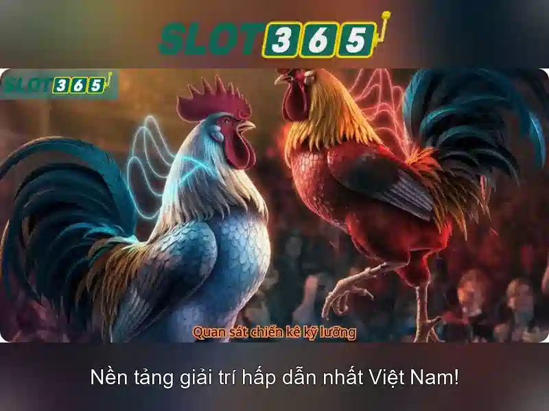 Slot365: Tổng quan, an toàn và trải nghiệm