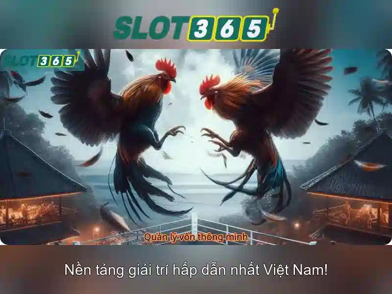 https://sitetop-group.com/images/text/slot365/slot365-text260331104.webp