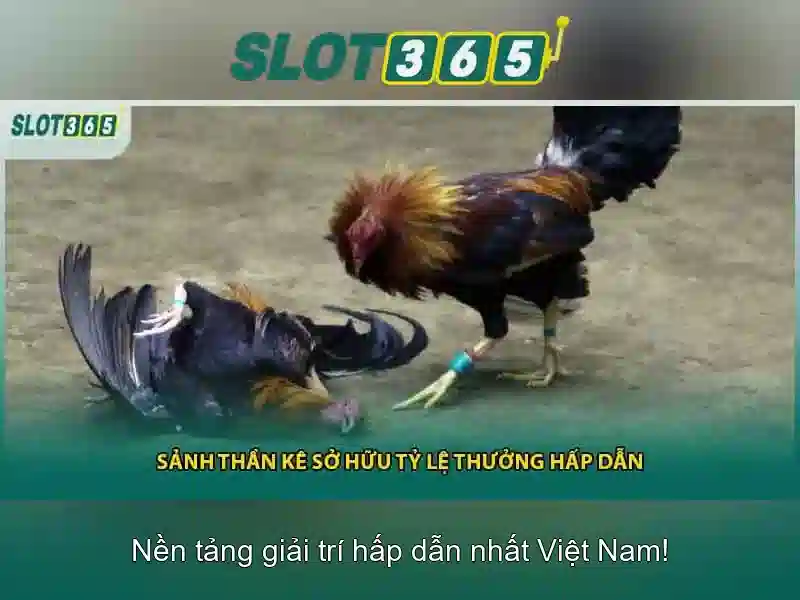 https://sitetop-group.com/images/text/slot365/slot365-text2603311043.webp