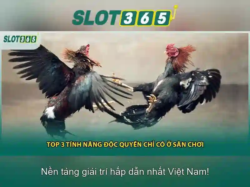 https://sitetop-group.com/images/text/slot365/slot365-text2603311196.webp