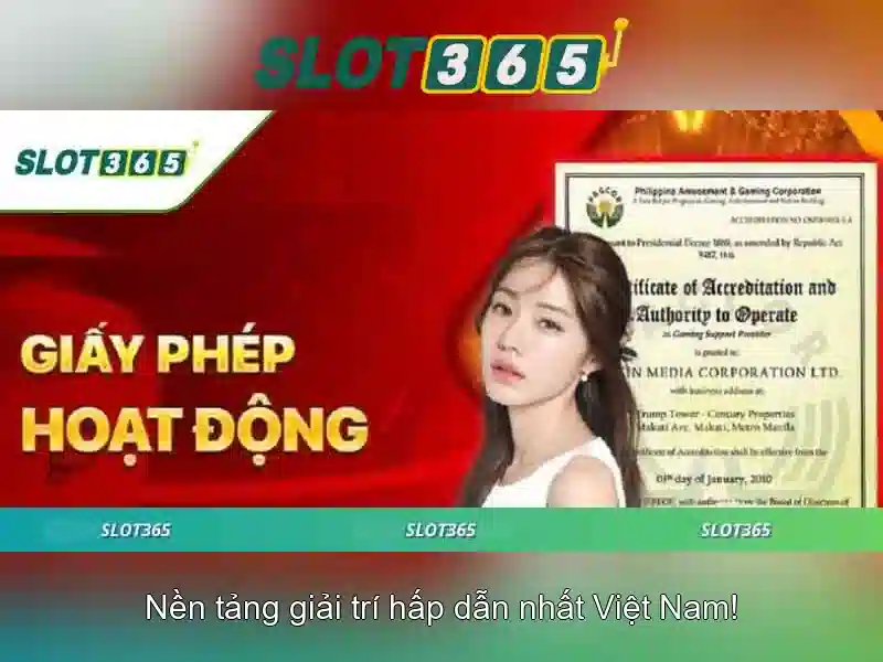 Slot365 - Đánh giá và trải nghiệm nền tảng cá cược trực tuyến