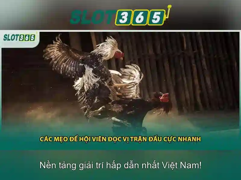Slot365: Nền tảng slot trực tuyến an toàn và tin cậy