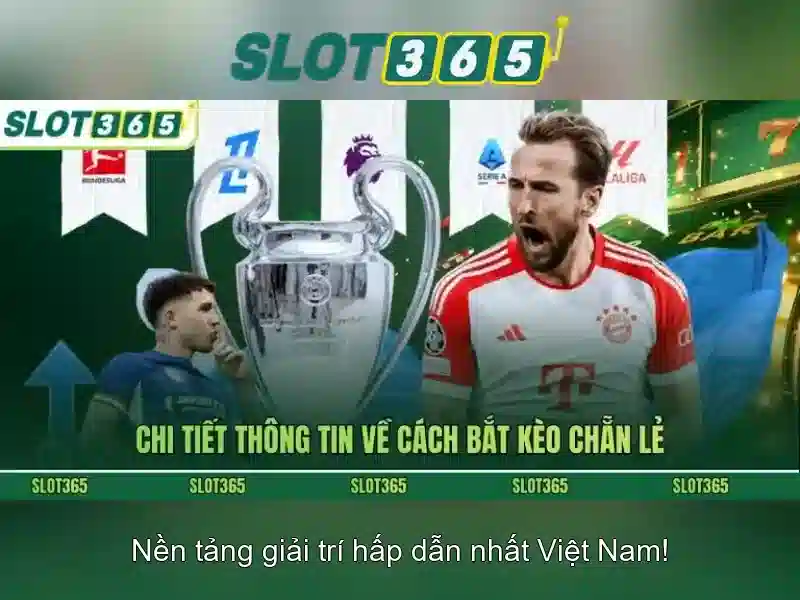 Slot365: Tổng quan về nền tảng quay số trực tuyến