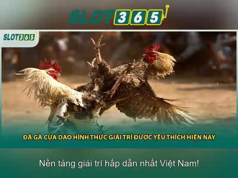 https://sitetop-group.com/images/text/slot365/slot365-text260331557.webp