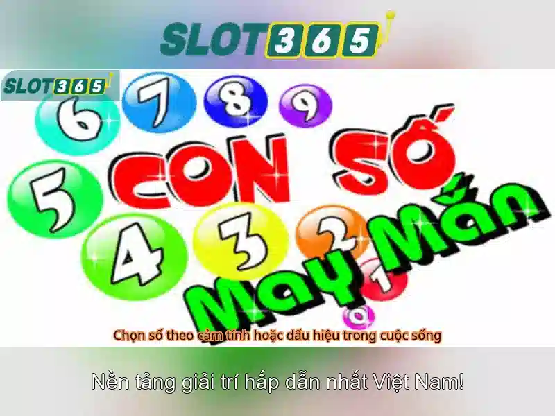 Slot365: Nền tảng slot trực tuyến đáng tin cậy cho người Việt