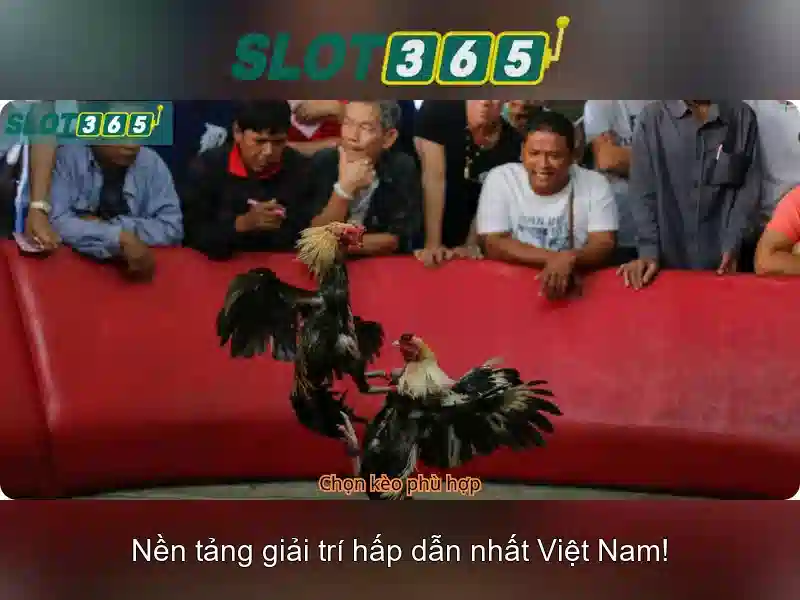 slot365_overview
