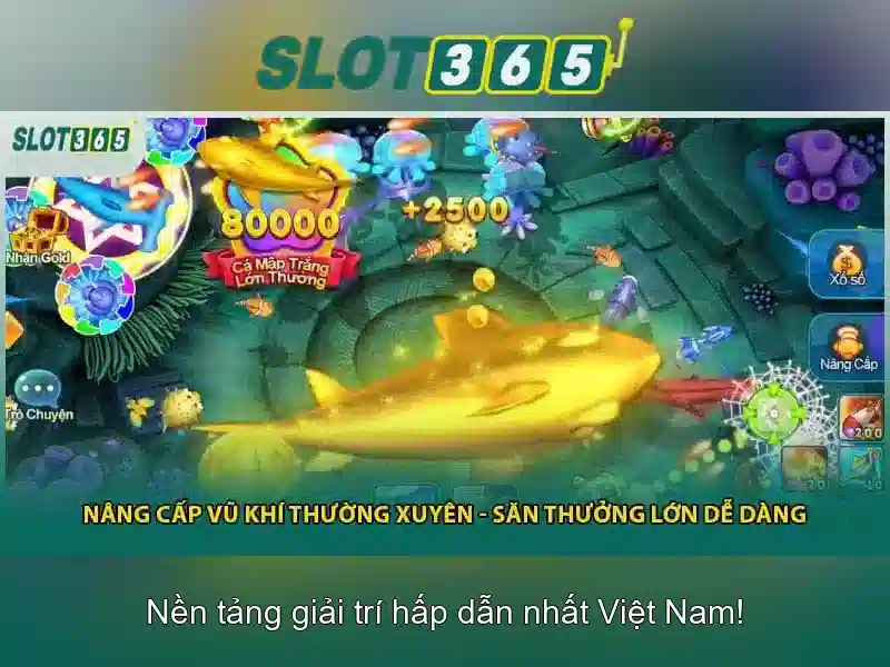 https://sitetop-group.com/images/text/slot365/slot365-text260331921.webp