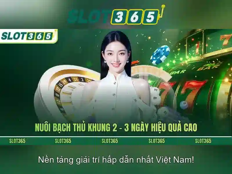 Slot365 – Nền tảng slot trực tuyến tin cậy tại Việt Nam