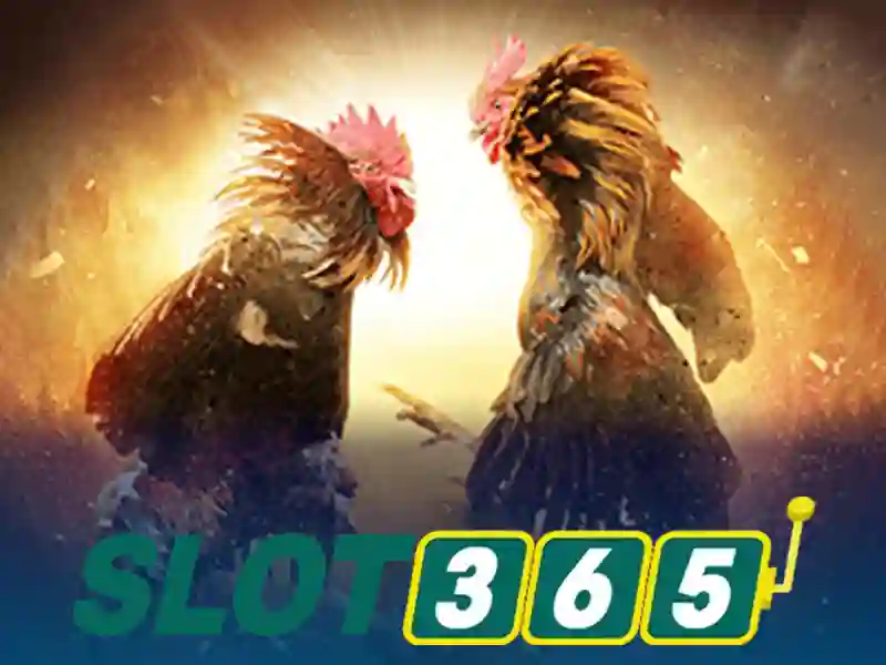 https://sitetop-group.com/images/text/slot365/slot365-text660.webp
